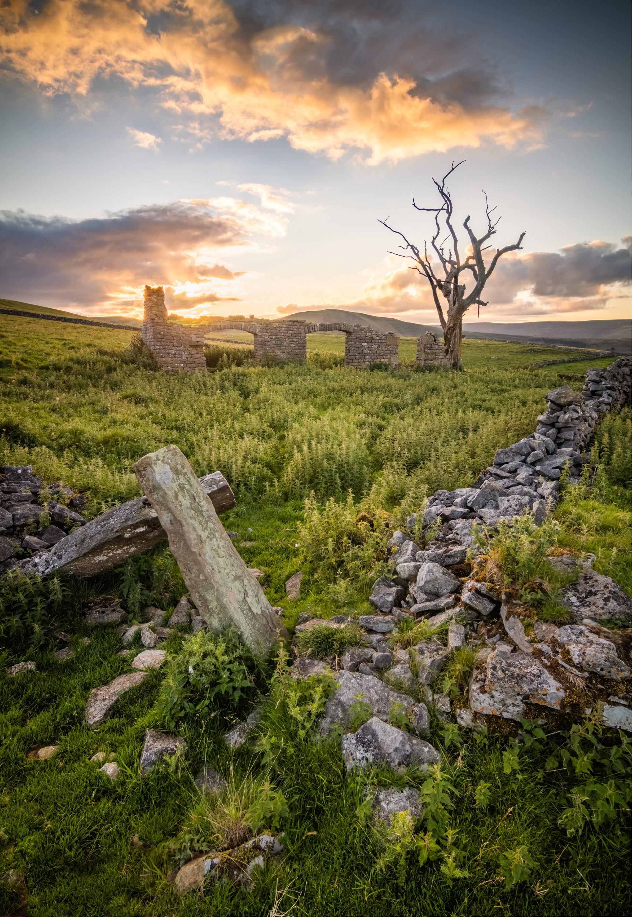 An old ruined barn in the Peak District National Park, with a dead tree standing over it on a summer's evening. Light from the setting sun is catching on the clouds and the glow is reflecting on foliage on the ground.